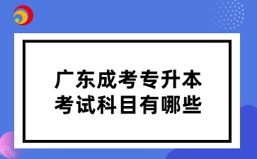 2025年廣東成考專(zhuān)升本考試科目有哪些